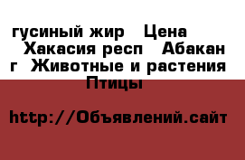 гусиный жир › Цена ­ 100 - Хакасия респ., Абакан г. Животные и растения » Птицы   